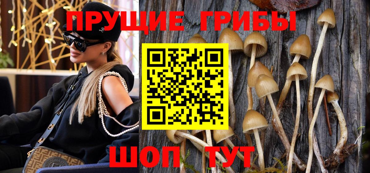 Галлюциногенные грибы Cubensis  Вход с VPN  Псилоцибиновые грибы Magic Shrooms  Дятьково 