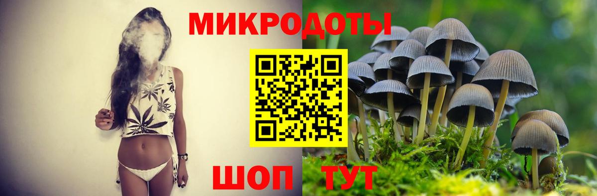 Галлюциногенные грибы мухоморы Дятьково